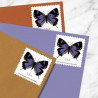 Colorado Hairstreak Butterfly Forever Stamps Book of 20 USPS First Class Postage Stamps Booklet